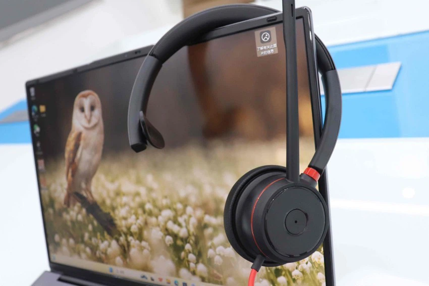 Single Headset With Mic